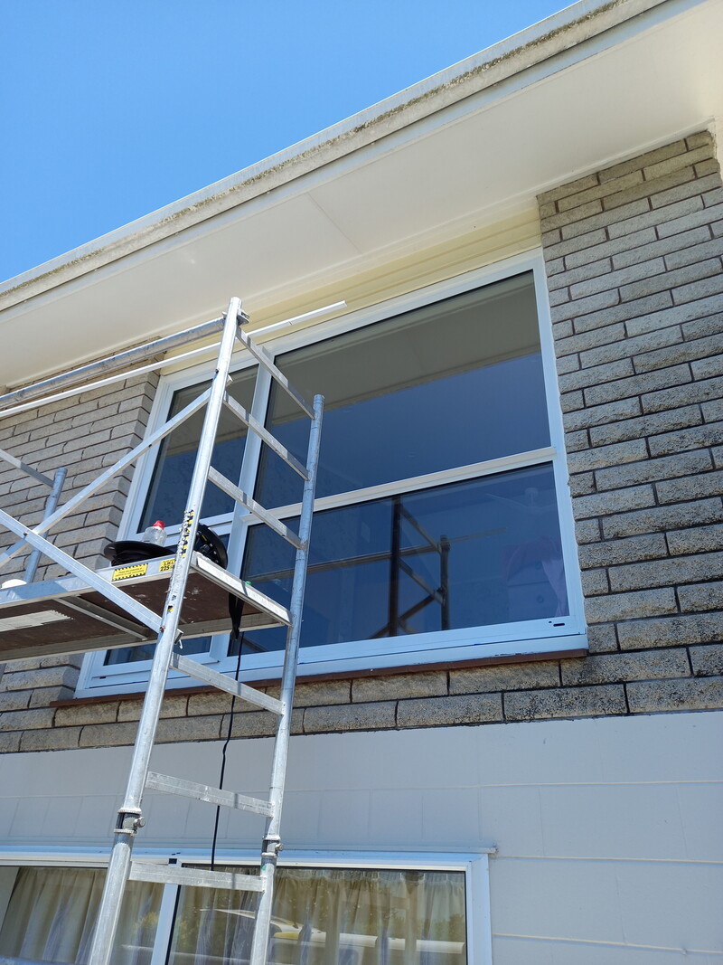 Professional window installation in Tauranga