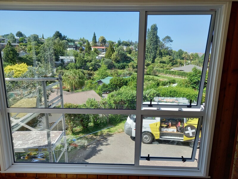 Completed window repair with garden views in Tauranga home